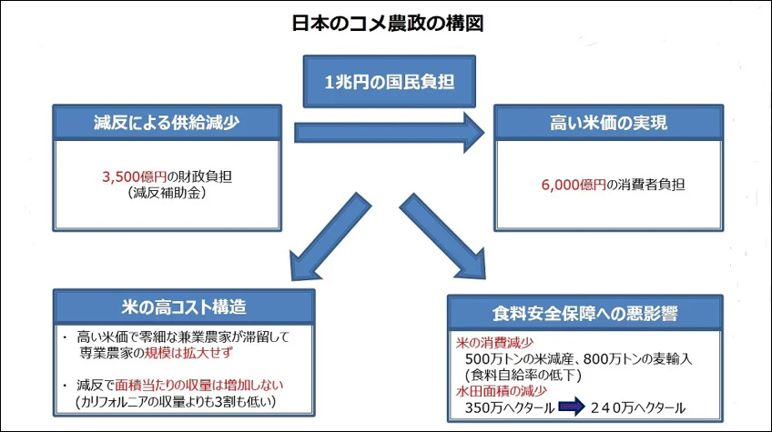 ダイアグラム, タイムライン自動的に生成された説明