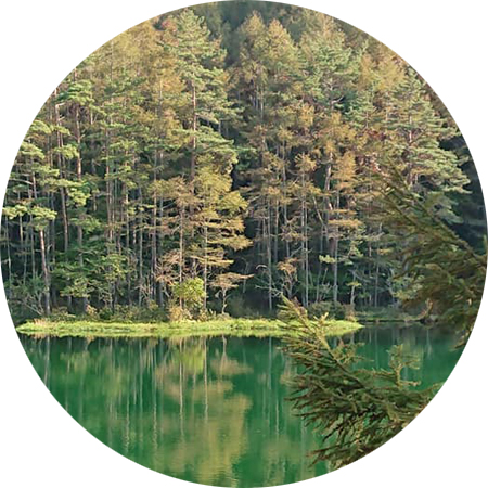 小資本で始める株式投資（回転手法の紹介＆ユーチューブ朝の板読み＆テンバガー銘柄発掘）